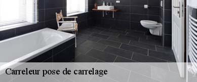 Carreleur pose de carrelage Hainaut 