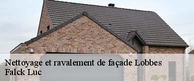 Nettoyage et ravalement de façade  6540