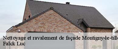 Nettoyage et ravalement de façade  6110