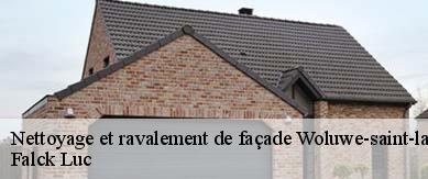 Nettoyage et ravalement de façade  1200