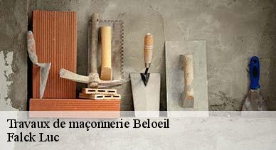 Travaux de maçonnerie  7972