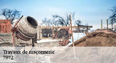 Travaux de maçonnerie  7972